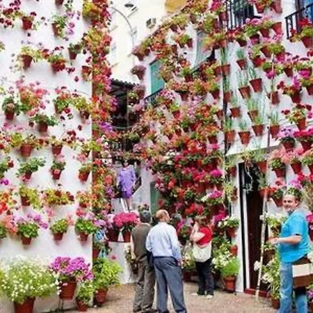 Con Encanto En * Cordoue